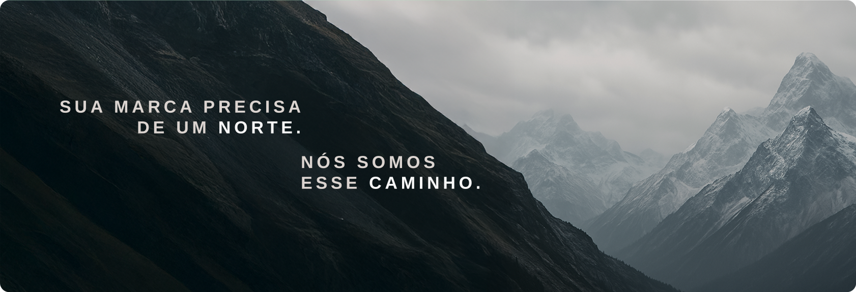 banner 2